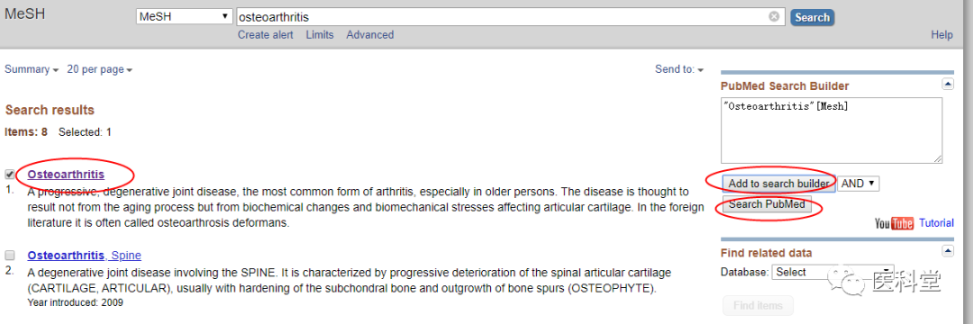 New PubMed数据库检索方法是什么