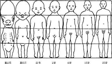 如何用SPSS计算维纳斯的0.618