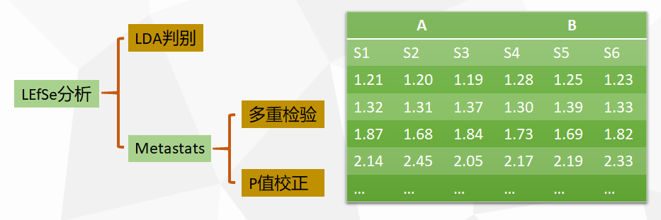 R語言中的Metastats分析如何理解