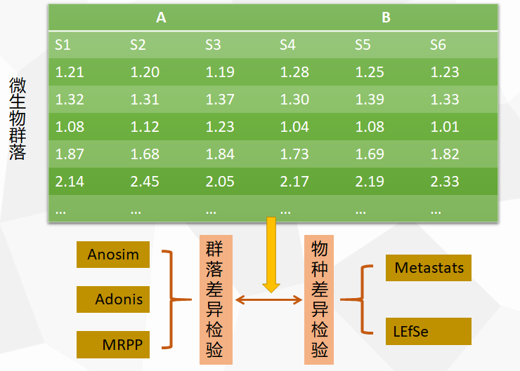 R语言中的Adonis分析如何理解