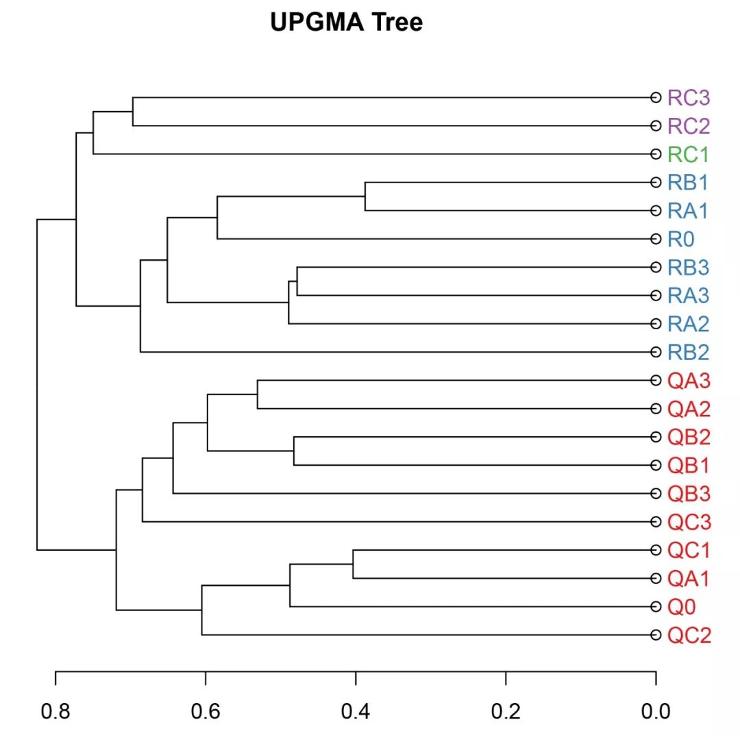 R语言层次聚类与聚类树怎么使用