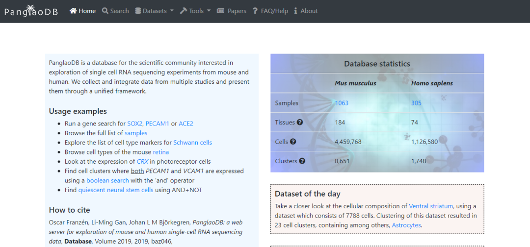 在線分析scRNA-seq數(shù)據(jù)的PanglaoDB網(wǎng)站是怎么樣的