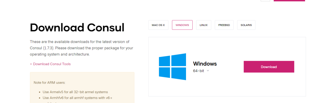 windows怎么安装consul