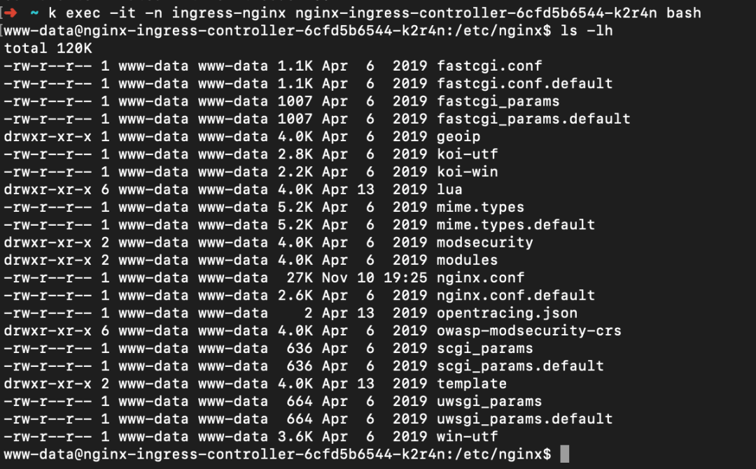 如何分析Kubernetes Ingress资源对象