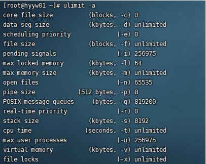 如何查看linux文件套接字数量