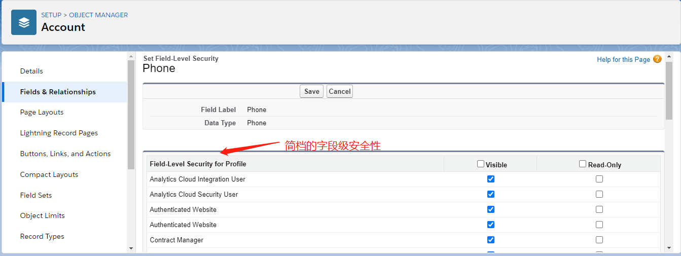Salesforce字段級安全性是什么