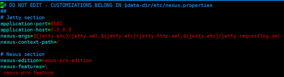 Nexus OSS 3.x中怎么创建一个Docker私有仓库