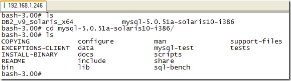 怎么在solaris10下安装mysql5