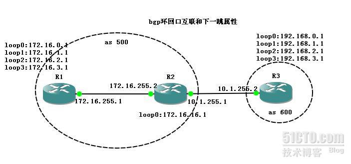 BGP環(huán)回口互聯(lián)的示例分析