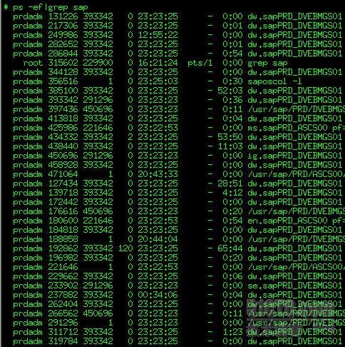 rhel5下如何實(shí)現(xiàn)批量殺進(jìn)程