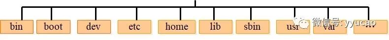 Linux最常用到的命令