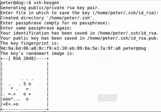 Linux网络怎么设置