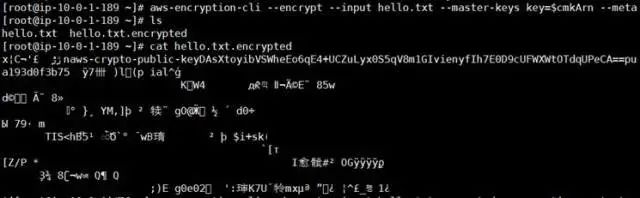 如何使用AWS Encryption CLI加密和解密数据