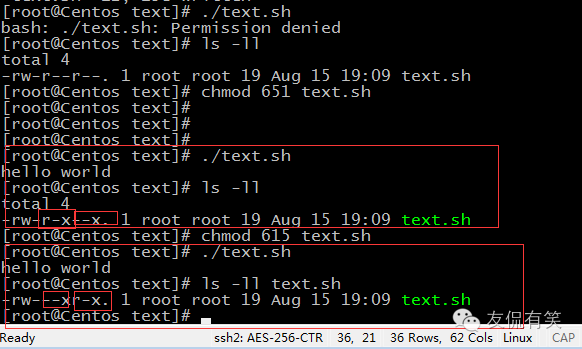 Linux系统文件属性中用户和组及权限是什么