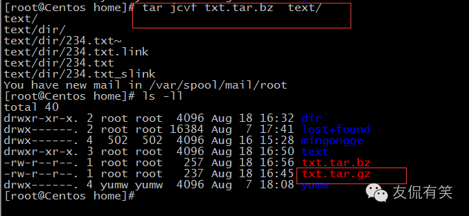 Linux常用的基础命令整理