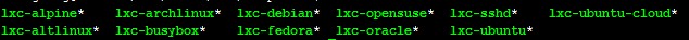 ubuntu13.04怎么通过lxc搭建容器java运行环境
