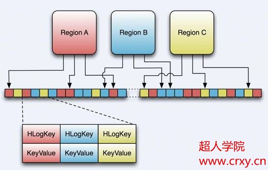 hbase的存储格式介绍