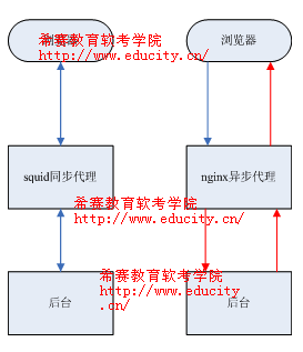 squid,nginx,lighttpd反向代理的区别是怎样的