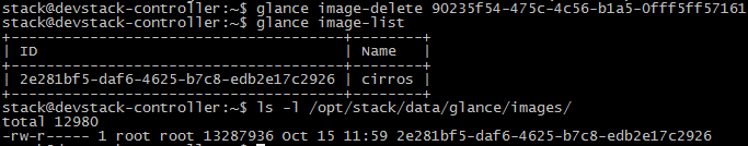 如何使用OpenStack CLI