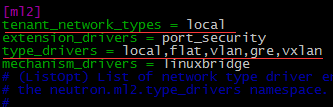 如何在ML2中enable local network