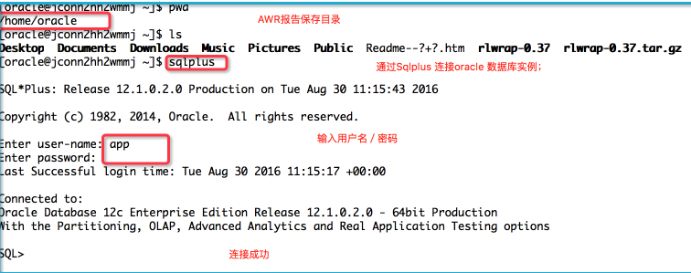 如何进行ORACLE的AWR报告分析