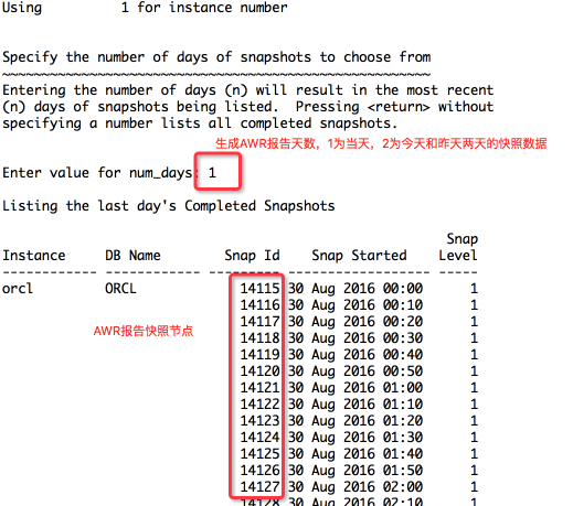 如何进行ORACLE的AWR报告分析