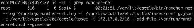 ​Rancher网络是怎么样的