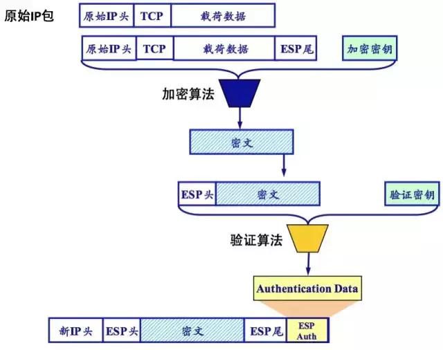 Rancher Managed Network的示例分析