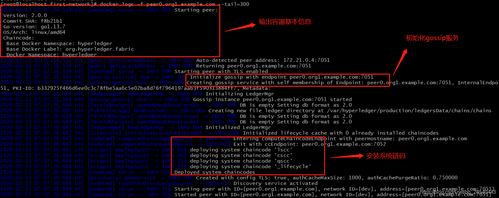 Fabric2.0啟動(dòng)網(wǎng)絡(luò)腳本配置的示例分析