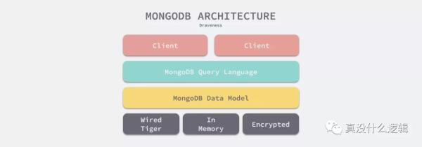 MongoDB中使用 B树的原因是什么