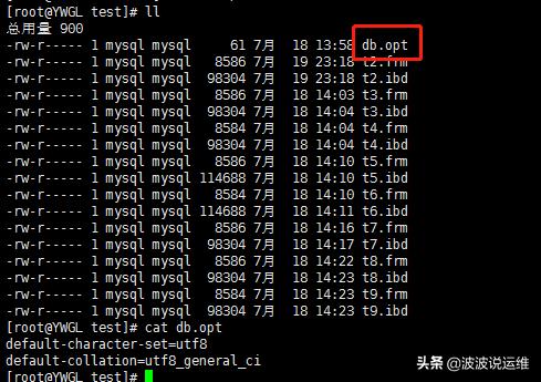 MySQL数据库目录下面的db.opt是干什么用的