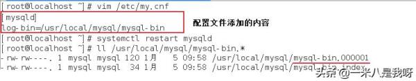 MySQL數(shù)據(jù)庫中怎么實現(xiàn)備份與恢復(fù)