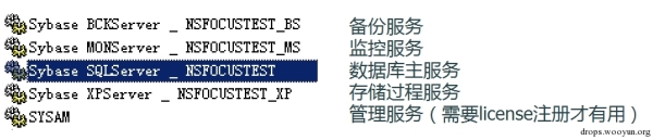 Sybase数据库安全的示例分析