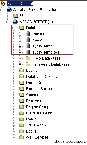 Sybase数据库安全的示例分析