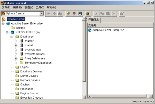 Sybase数据库安全的示例分析