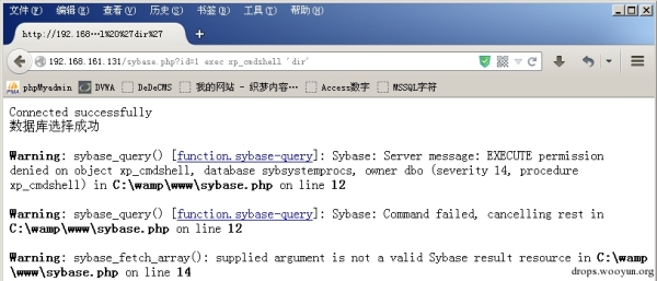 Sybase数据库安全的示例分析