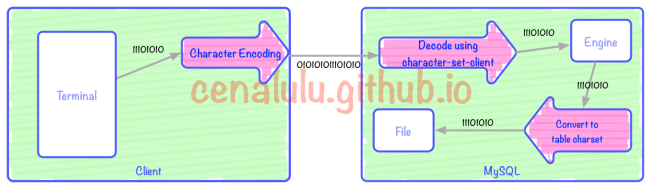 MySQL出现乱码的原因及解决方法