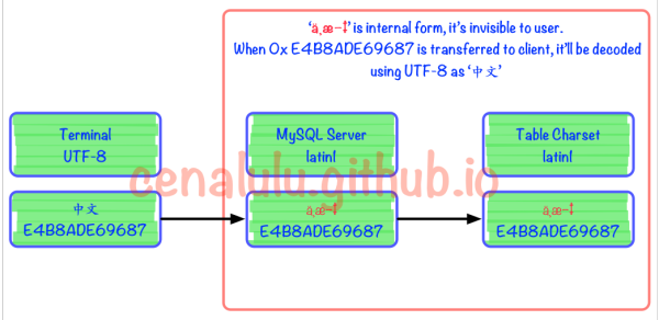 MySQL出现乱码的原因及解决方法