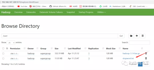 如何让HDFS中的Java和Python API接口连接