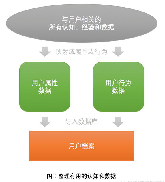 如何基于数据快速构建用户模型Persona