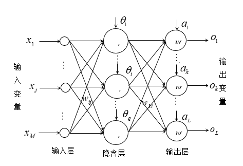 大数据中BP神经网络结构是怎么样的