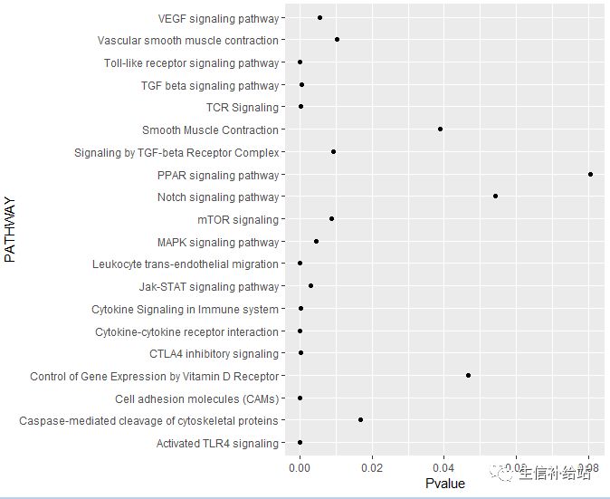 如何利用R语言的ggplot2包绘制KEGG气泡图