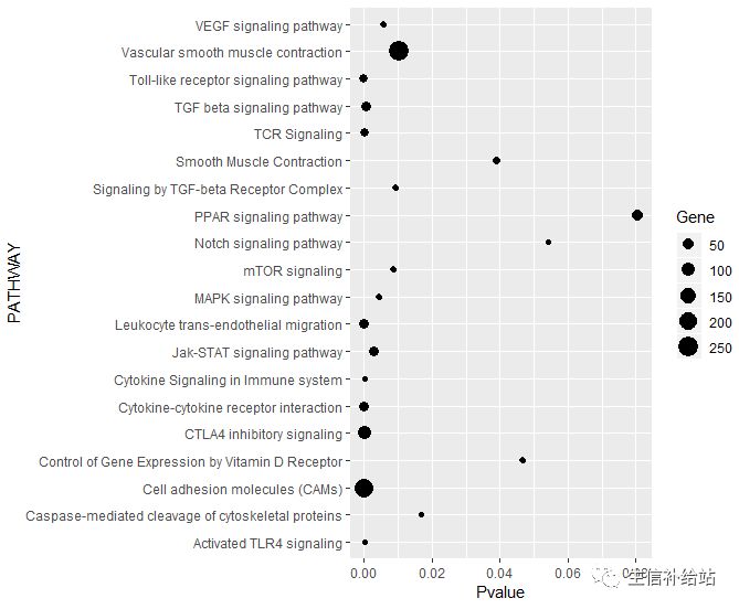 如何利用R语言的ggplot2包绘制KEGG气泡图