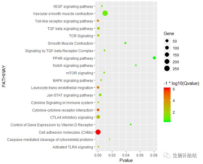 如何利用R语言的ggplot2包绘制KEGG气泡图