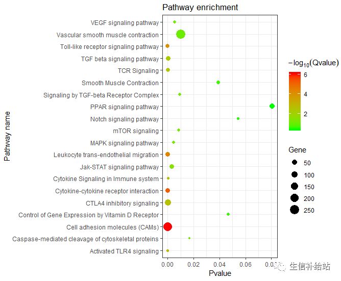 如何利用R语言的ggplot2包绘制KEGG气泡图