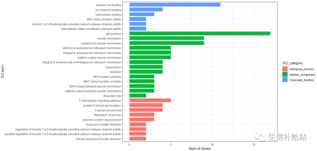 如何利用R语言的ggplot2包绘制GO富集柱形图