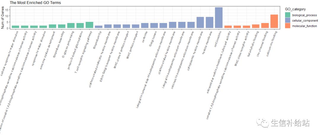 如何利用R语言的ggplot2包绘制GO富集柱形图