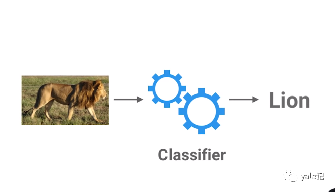 如何使用TensorFlow for Poets训练图像分类器