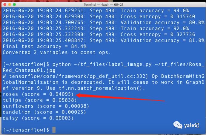 如何使用TensorFlow for Poets训练图像分类器