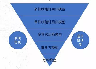 web测定日模型及随机模型的概念是什么